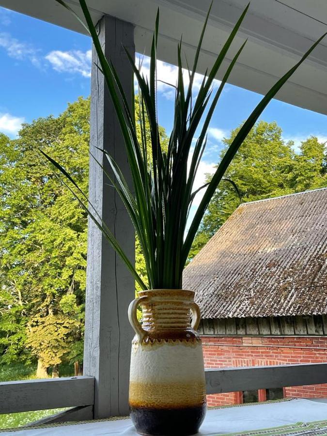 Вилла Strautmali White House In Mazirbe Экстерьер фото